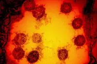 QuickCheck: Has Malaysia entered the Covid-19 endemic phase?