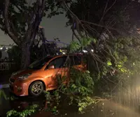 Freak storm uproots trees in Penang, causes massive jams and floods