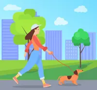 Pet care: What to do with your dog when you go on vacation