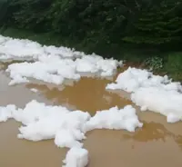 White foam spotted on Skudai River perturbs residents