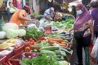 Adopting a plant-based diet has multiple benefits