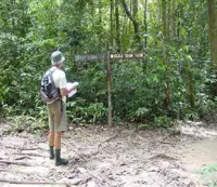Climbers disobeyed rules, says Johor Forestry Dept
