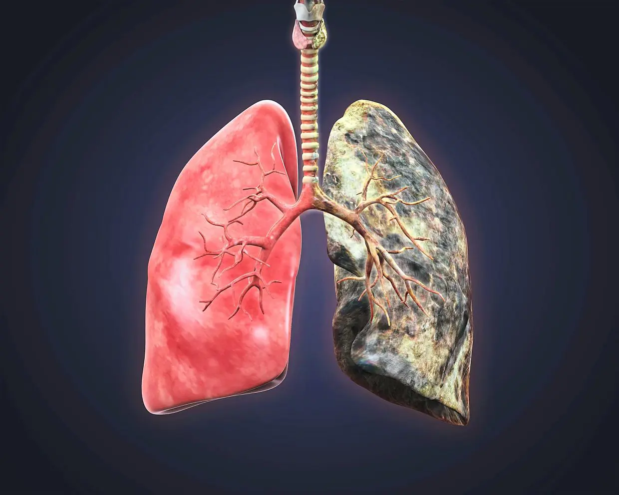 is heated tobacco safer than vaping ❌Myth: Vape & heated tobacco products are safer alternatives to cigarettes.  ✓Truth: They are harmful products; they contain nicotine & toxic substances  that can have harmful effects & long-term consequences on brain