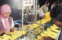 Rubberex to diversify into healthcare