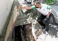 Sri Petaling residents want drains damaged by tree roots repaired fast