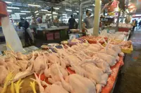 Chicken prices expected to increase above RM10 per kg after June 30, says livestock farmers' group