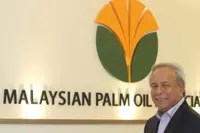 Short Position - Who will helm MPOA next?, Shorter is not better, Large-scale solar mess