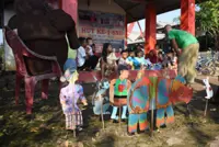 Indonesian uses puppets to teach threat to world's rarest rhinos