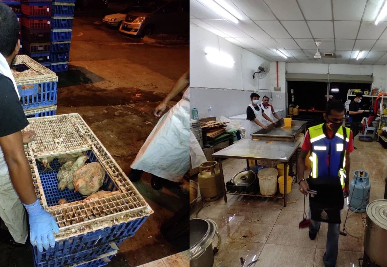 MBPJ shuts down three dirty illegal chicken slaughterhouses - Vimarsana News