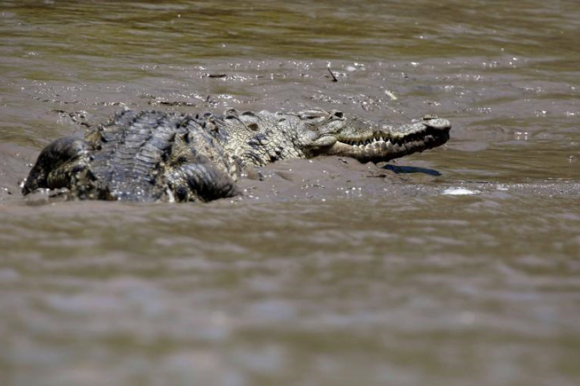 Man fishing in Maludam found dead with croc bite marks - Vimarsana News