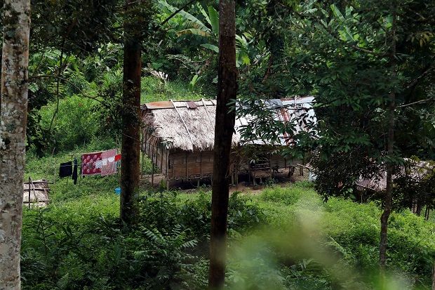 Act now, Orang Asli tell govt - Vimarsana News