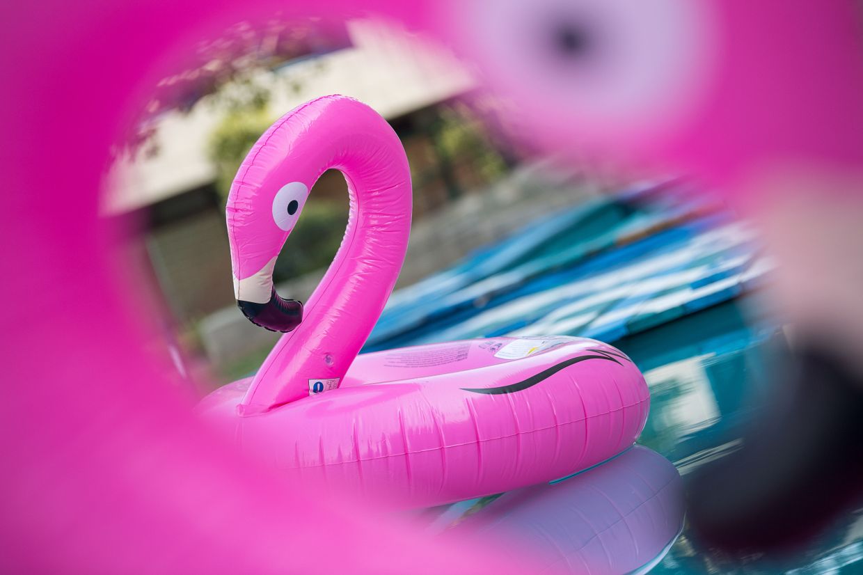 Are you smelling the plastic? Avoid those beach toys - Vimarsana News
