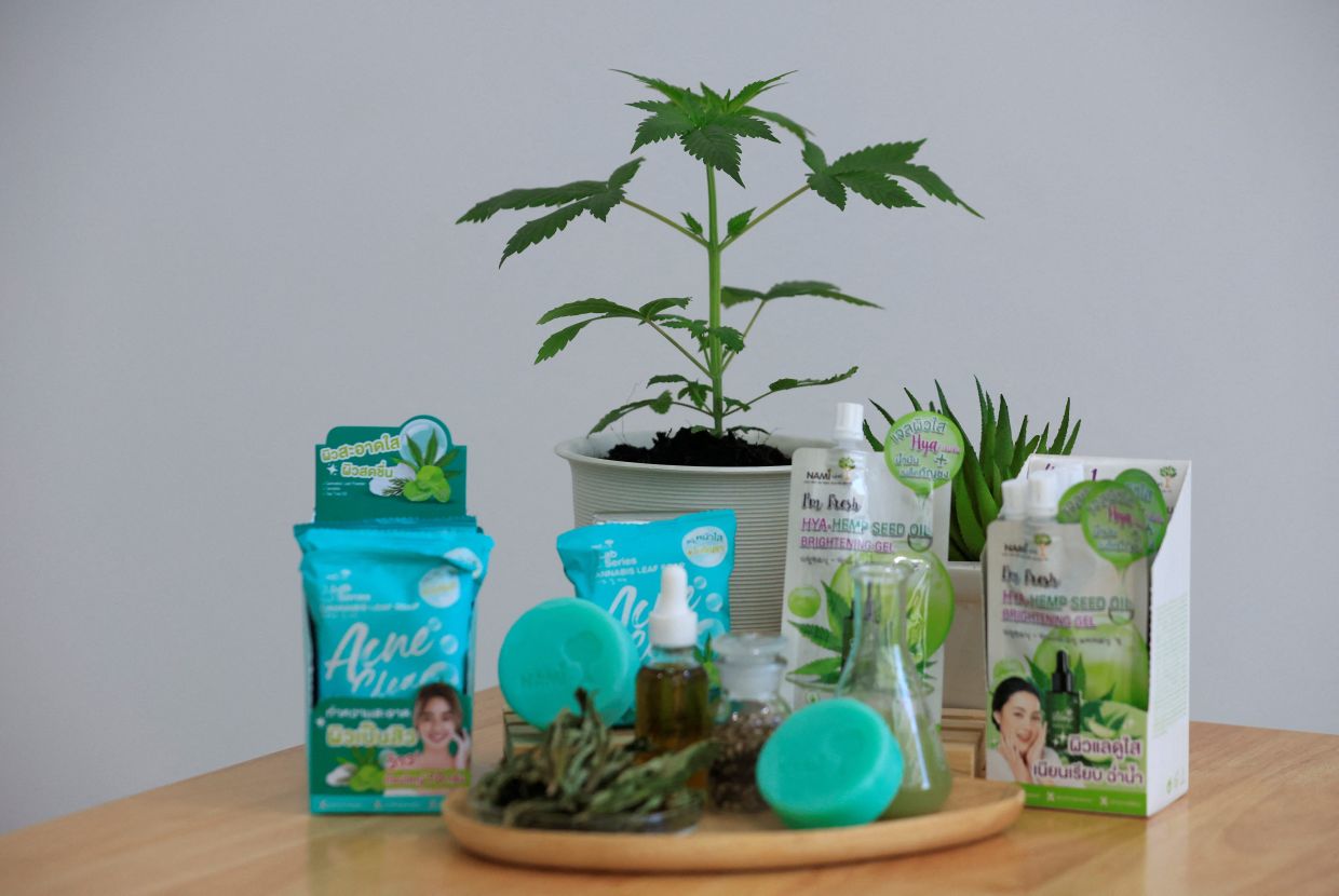 Thai businesses cash in on cannabis, from milk tea to toothpaste - Vimarsana News