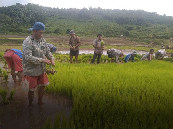 Laos among countries with highest inflation in South-East Asia; rate now standing at a high of 4.7% - Vimarsana News