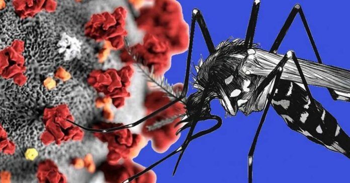 Laos health ministry facing big issue as both Dengue and Covid-19 cases are rising in the country - Vimarsana News