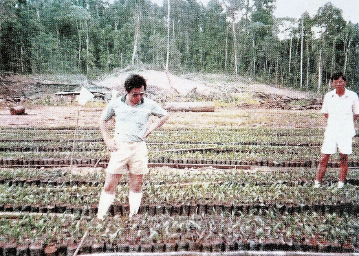 Lee on his walkabout around his greenfield plantation in Sabah.