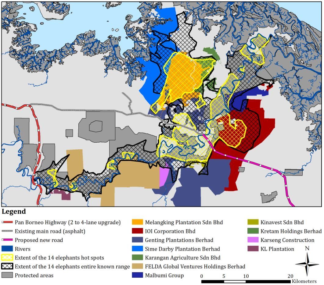 Map showing the pooled extents for hot spots (in yellow cross hatch) and entire range (in black cross hatch) within identified oil palm estates within the Lower Kinabatangan. Map also shows the existing Sukau road (in grey) and the planned road/highway that will cut the Kinabatangan elephant population into two that will be disastrous for these elephants.