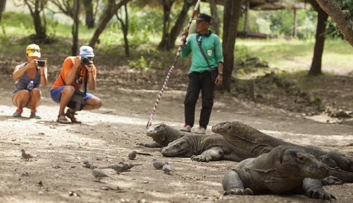 Indonesian tourism workers strike over RM1,121 Komodo Island entry fee - Vimarsana News