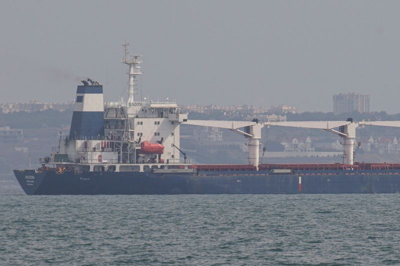 Ukraine grain ship crew overjoyed to set sail amid worries about mines - Vimarsana News