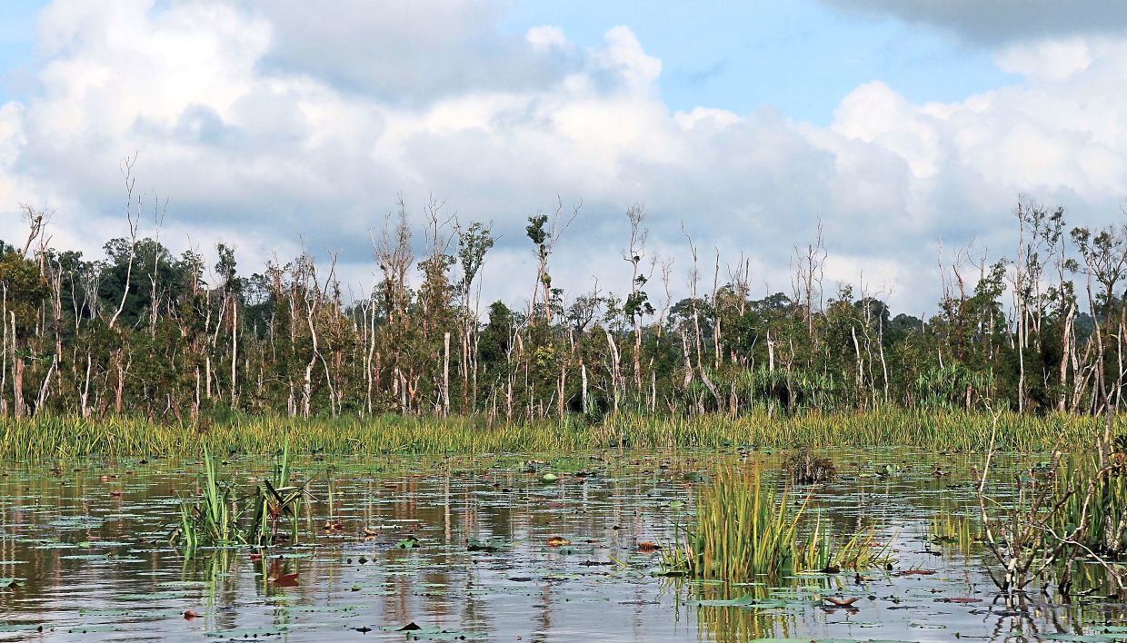 Activities that could affect Tasik Chini halted, says Takiyuddin - Vimarsana News