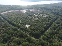 Kuala Selangor Nature Park to be turned into tourism attraction