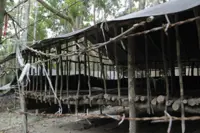 What Malaysia and Malaysians must do to check human trafficking