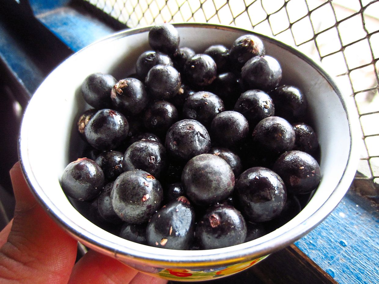 Acai berries are rich in antioxidants and have been hailed as a superfood by the healthy living movement. — Eli Duke/Flickr