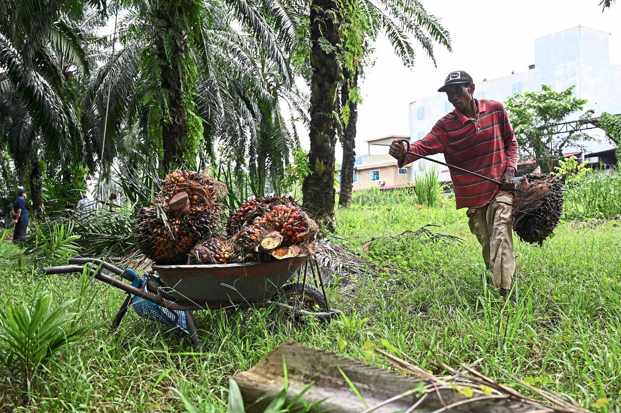 Short Position Palm Oil Stocks On The Rise KNM s Highly Important Short Position Palm Oil Stocks On The Rise KNM s Highly Important