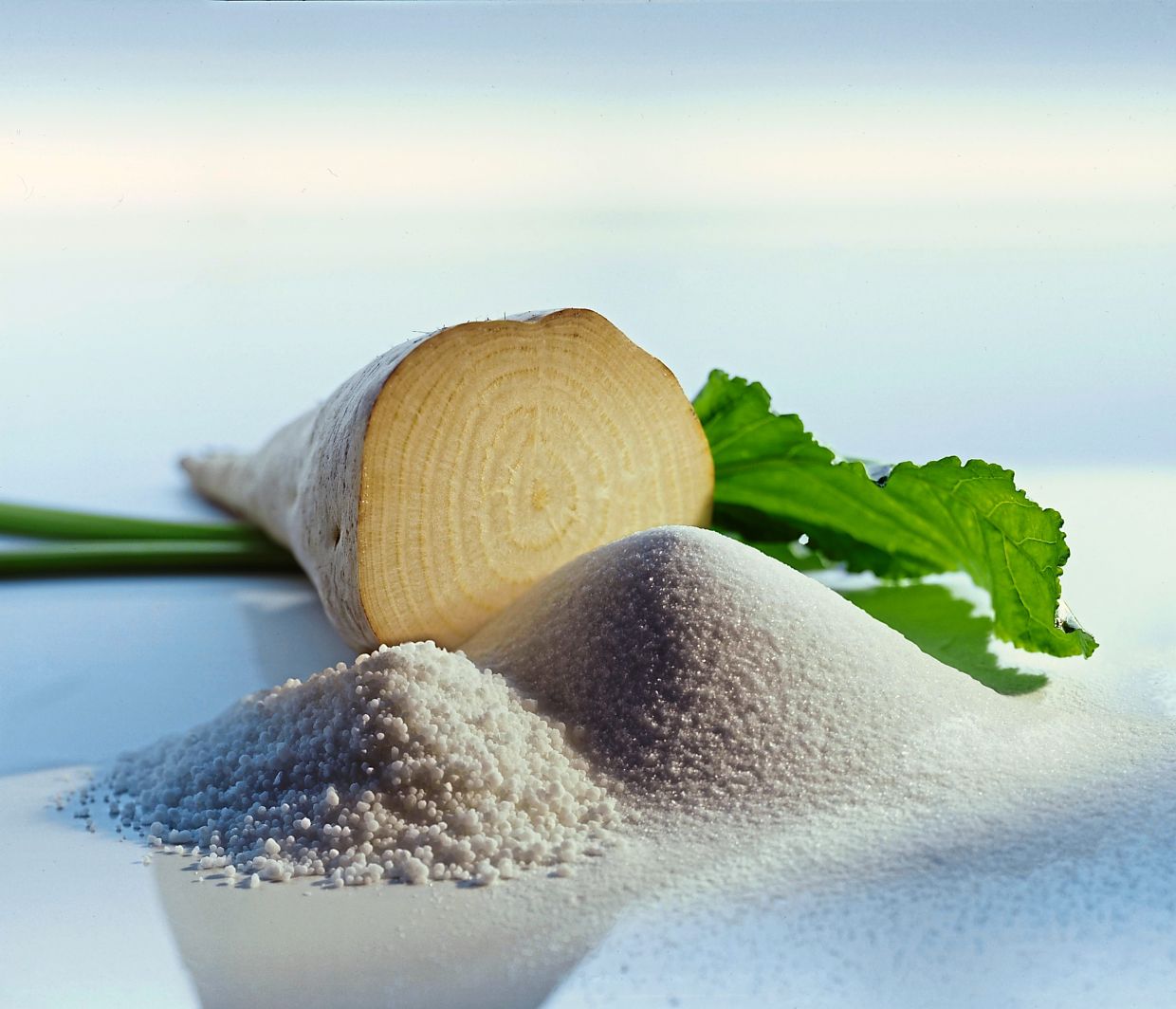 Extracted from the sugar beet plant, isomaltulose is a low GI ingredient composed of glucose and fructose, which can be used as a sugar substitute. — Photos: Beneo