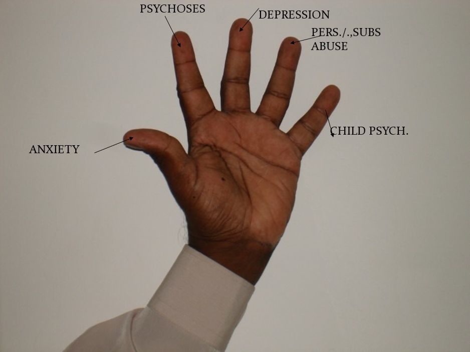 The concept of ‘Simply Lima’, created by Prof Deva, describes the main categories of mental disorders, i.e. psychosis, anxiety disorders, mood disorders, alcohol and substance use, and childhood-related disorders.