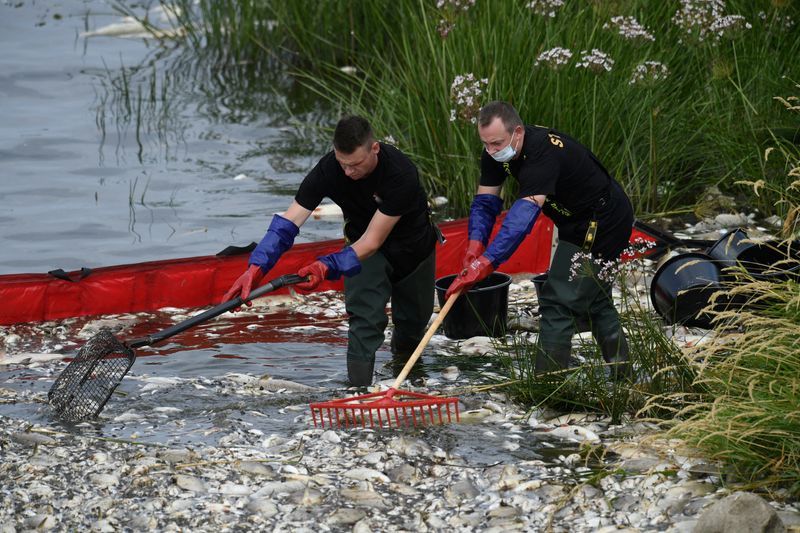 Poland says Oder tests so far not showing poison as cause of fish die-off - Vimarsana News