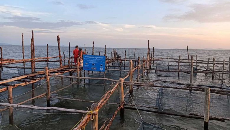 Crab banks: A five-tonne daily withdrawal to satisfy Cambodia - Vimarsana News