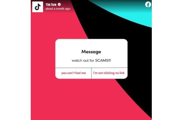 QuickCheck: Can you earn easy money on TikTok via WhatsApp tasks? - Vimarsana News