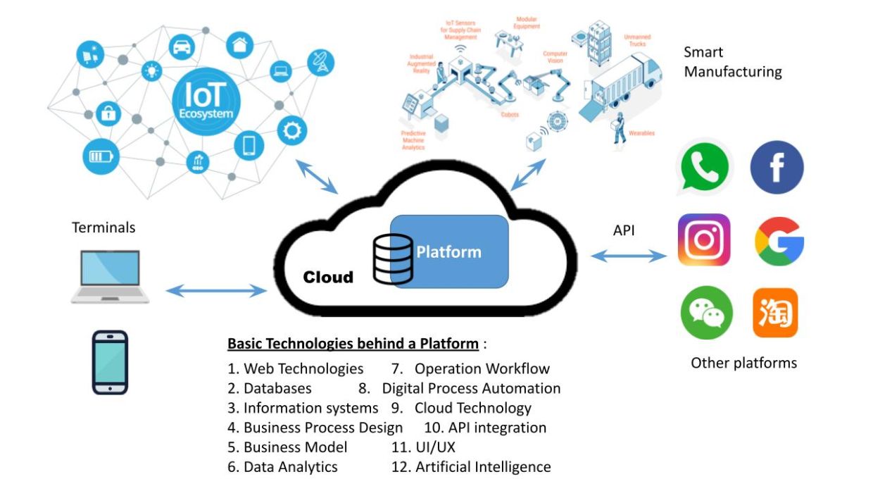 Digital Economy Technology in a nutshell with digital platform and API as main focus.