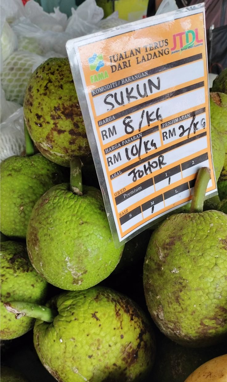 Sukun fruit, which were brought in from a farm in Johor, were sold at RM13 per kg at Maha 2022. 