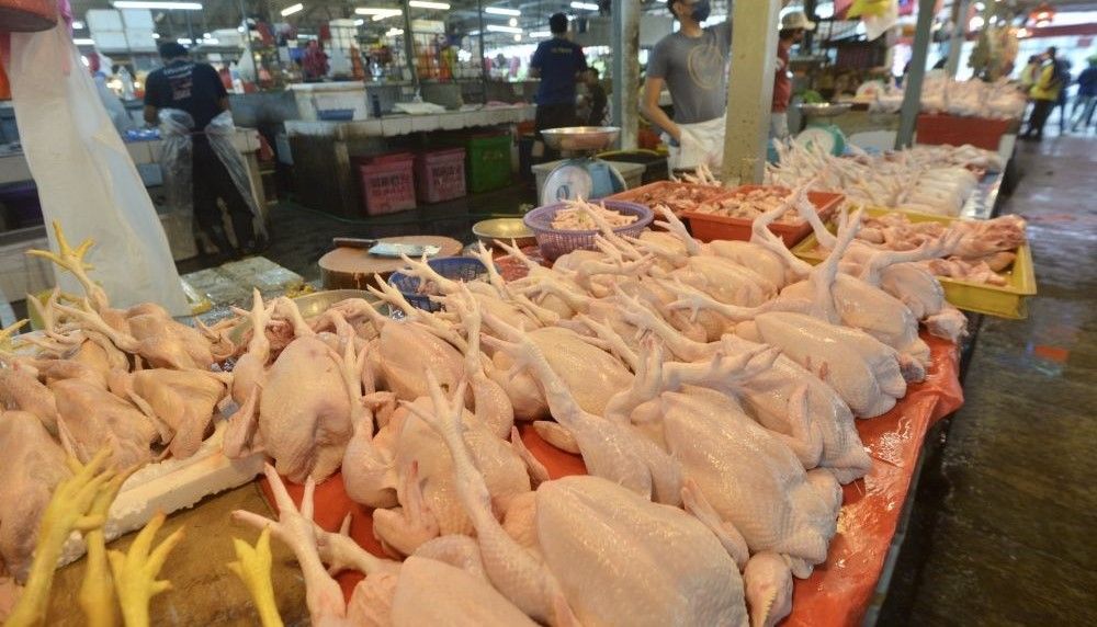 Chicken exports: Govt needs one or two months to decide on lifting ban, says PM - Vimarsana News