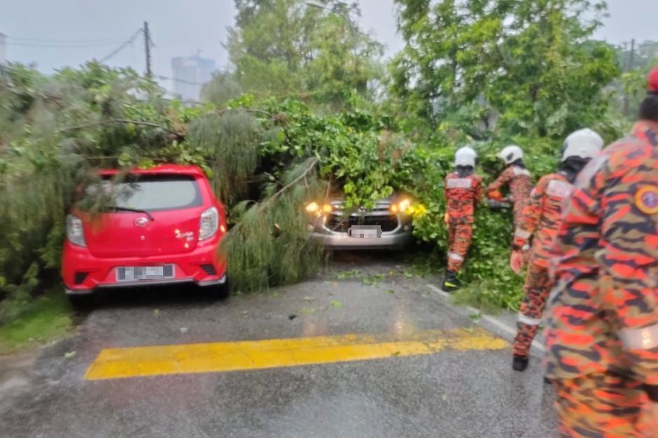 Trees fall as strong winds lash KL during evening downpour The Star