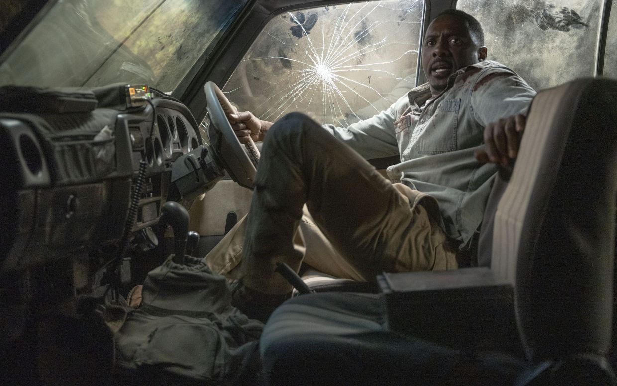 'Beast' review: Idris Elba fights a lion in exciting thriller with B-movie bite - Vimarsana News