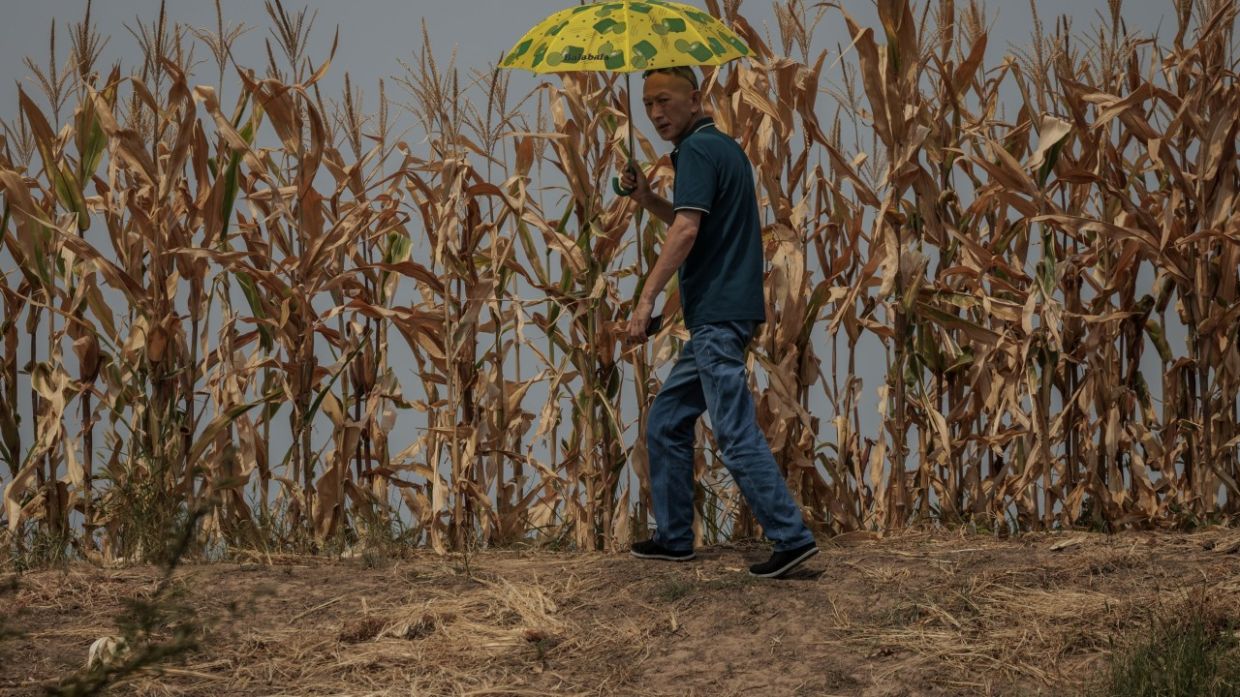 China's heatwave, power crunch adds to economic woes, inflation concerns even with rain set to fall - Vimarsana News