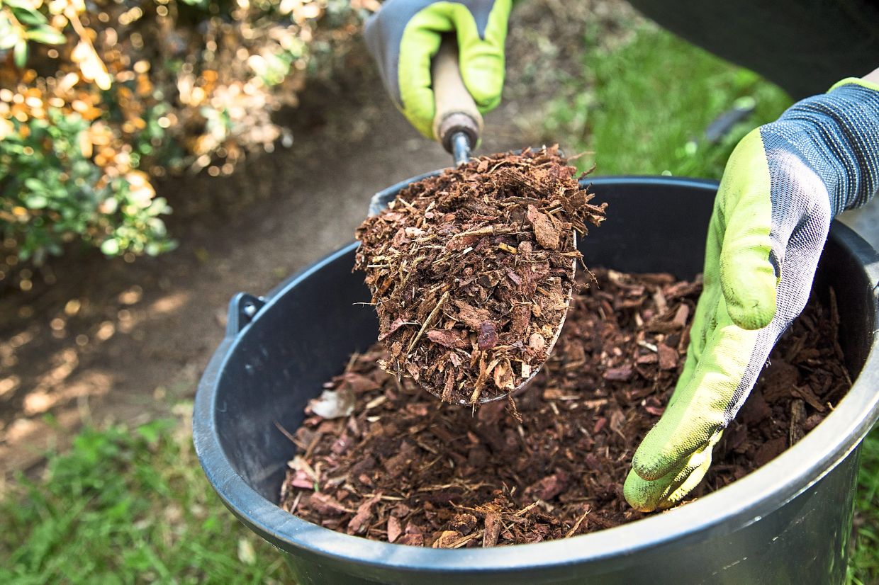 Bark mulch as the top layer on the beds helps to keep the water in the soil longer. 