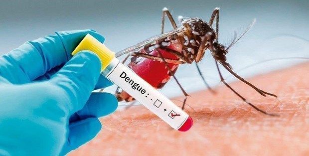 Dengue cases rising rapidly as cases in Laos surpass 20,000 - Vimarsana News