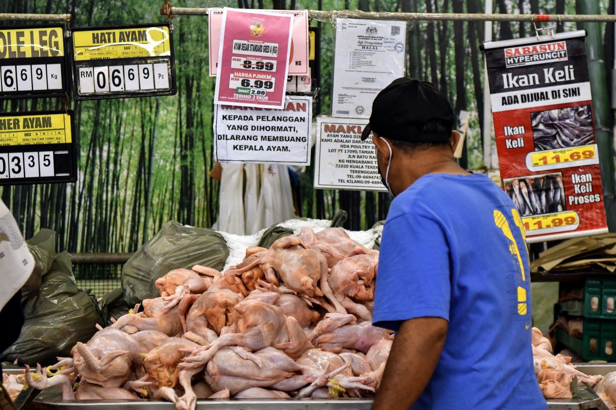 Fresh chicken for as low as RM5 at M'sian Family Cheap Sales programme - Vimarsana News