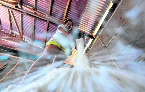 Philippines working 'double time' to boost salt industry - Vimarsana News