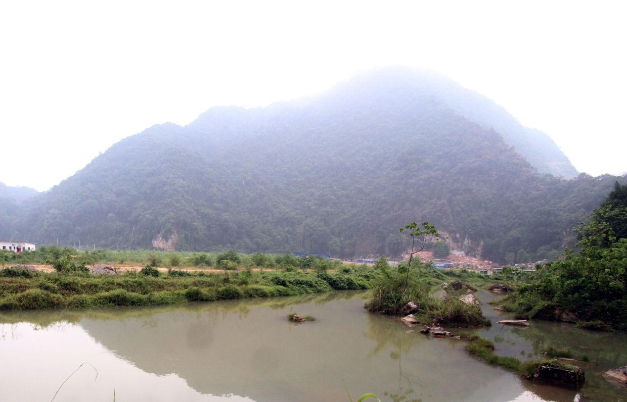 Senior citizen dies of heart attack on Gunung Pulai hike - Vimarsana News