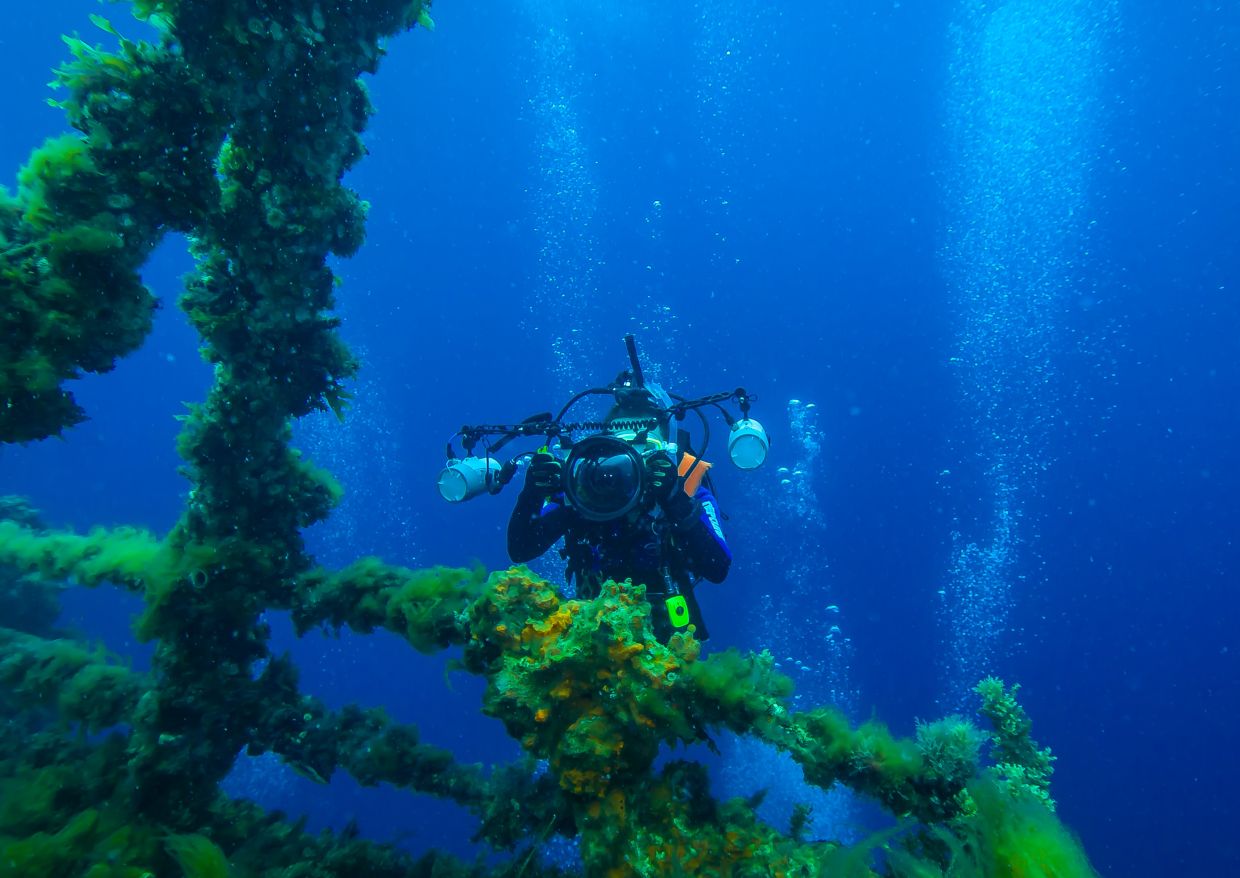 From remote coral reefs to your sofa, citizen science spreads everywhere - Vimarsana News