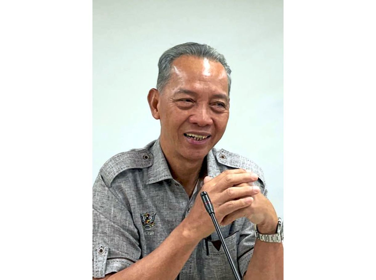 Fulltime chairman planned for each district council The Star