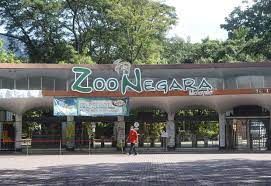 QuickCheck: Is it true that Zoo Negara was known as 'Zoo in the Jungle'? - Vimarsana News
