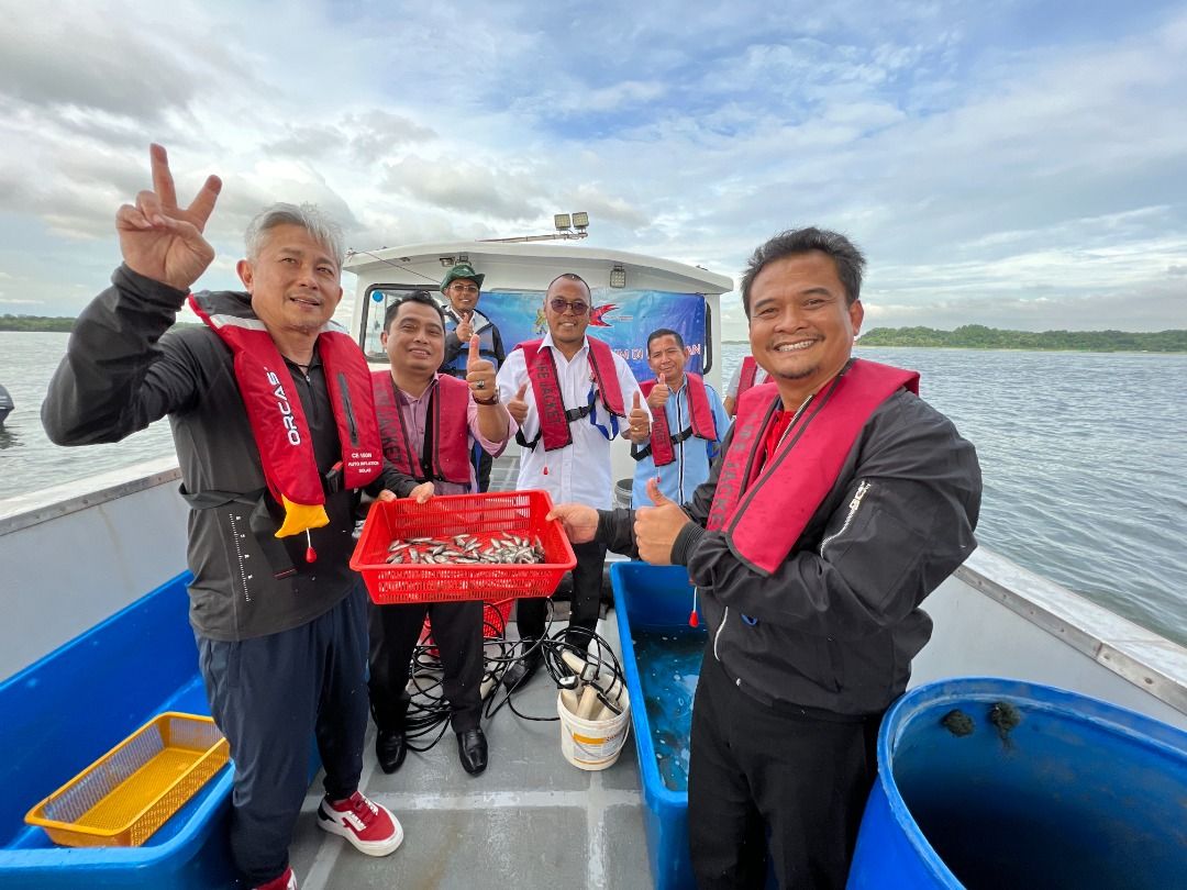 More than 500,000 marine hatchlings released by Johor Fisheries Dept since January - Vimarsana News