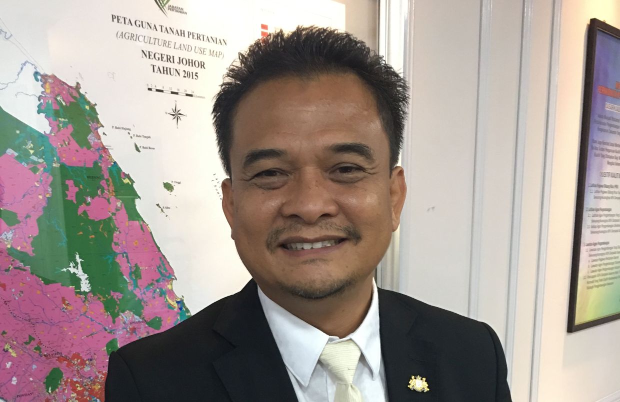 Budget 2023: Focus on improving agriculture sector, increase productivity, says Johor exco rep - Vimarsana News