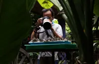 Melaka sanctuary starts breeding 'Idea lynceus' butterflies again